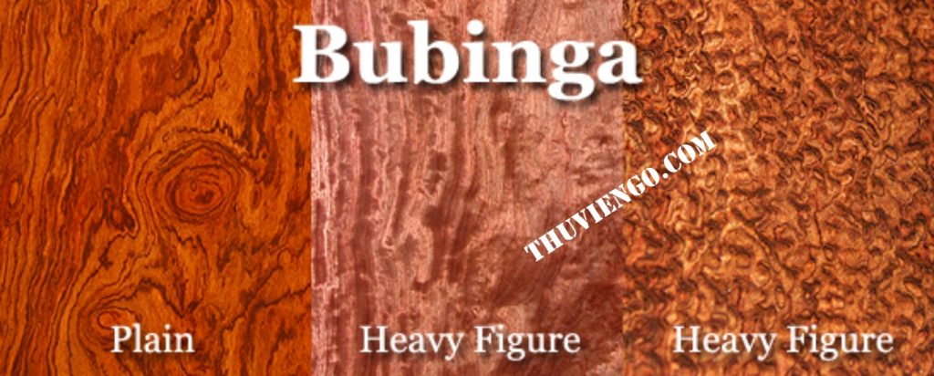 Bubinga-la-go-gi 